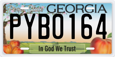 GA license plate PYB0164