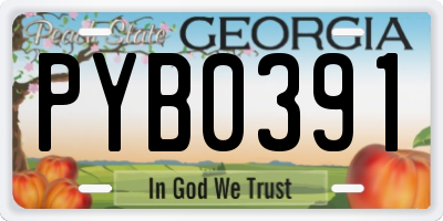 GA license plate PYB0391