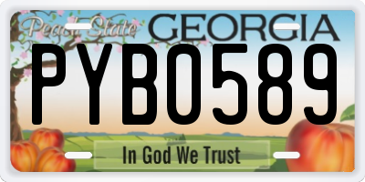 GA license plate PYB0589