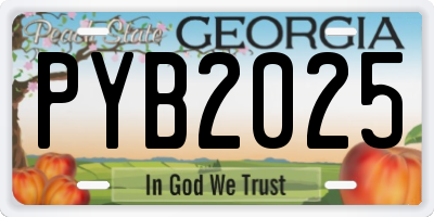 GA license plate PYB2025