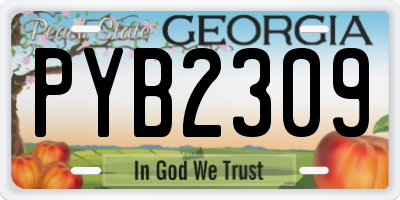 GA license plate PYB2309