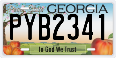 GA license plate PYB2341