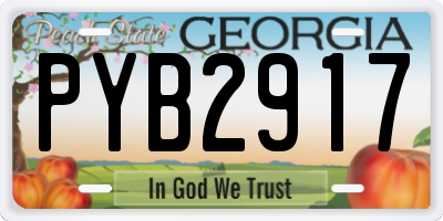 GA license plate PYB2917