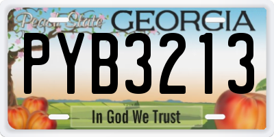 GA license plate PYB3213