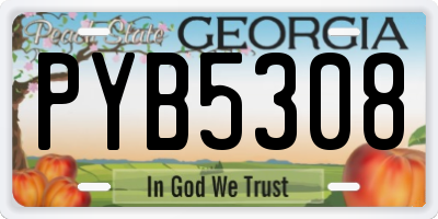 GA license plate PYB5308