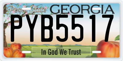 GA license plate PYB5517