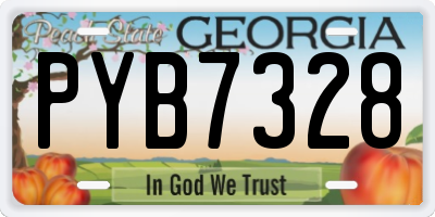 GA license plate PYB7328