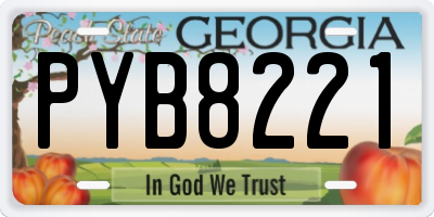 GA license plate PYB8221