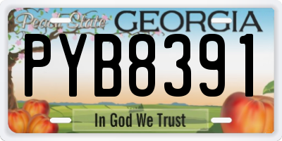 GA license plate PYB8391