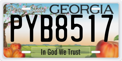 GA license plate PYB8517