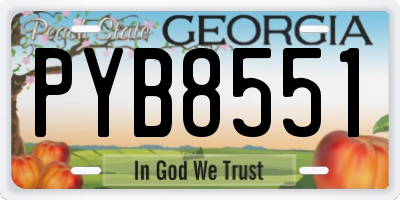 GA license plate PYB8551