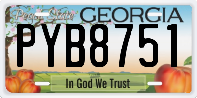GA license plate PYB8751