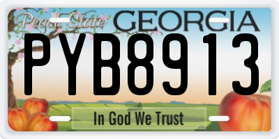 GA license plate PYB8913