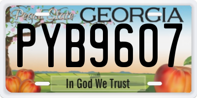 GA license plate PYB9607