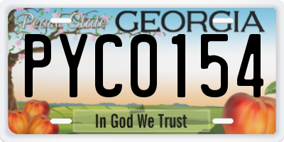 GA license plate PYC0154