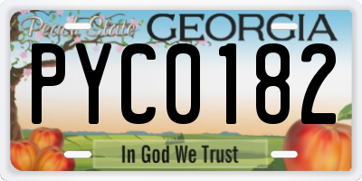GA license plate PYC0182