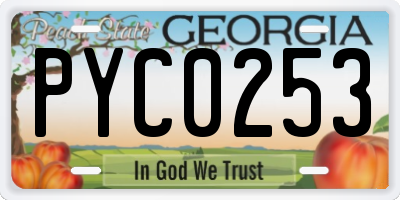 GA license plate PYC0253