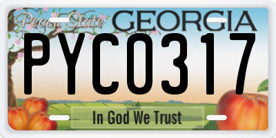 GA license plate PYC0317