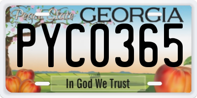 GA license plate PYC0365