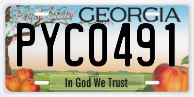 GA license plate PYC0491