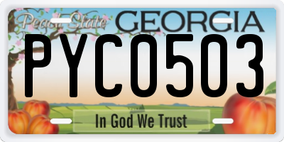 GA license plate PYC0503