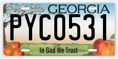 GA license plate PYC0531