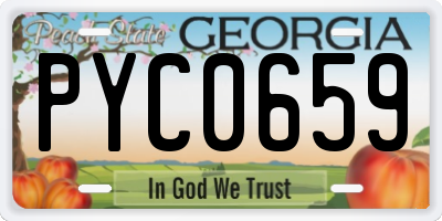 GA license plate PYC0659