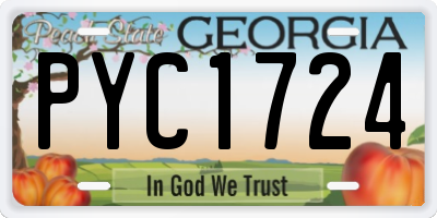 GA license plate PYC1724