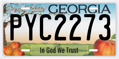 GA license plate PYC2273