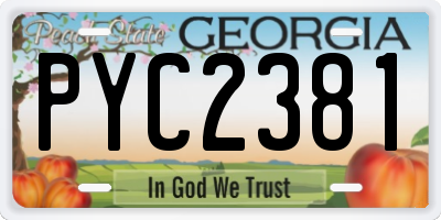 GA license plate PYC2381