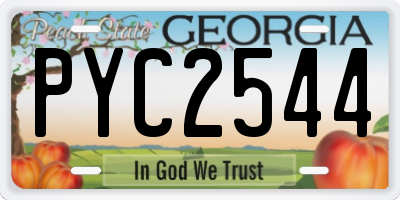 GA license plate PYC2544