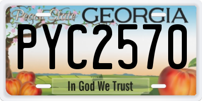 GA license plate PYC2570