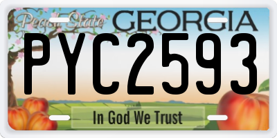 GA license plate PYC2593