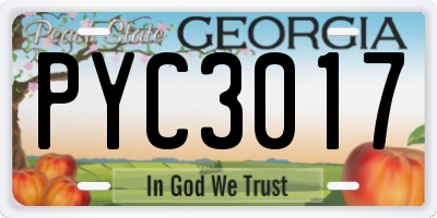 GA license plate PYC3017