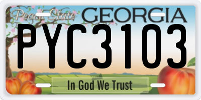 GA license plate PYC3103