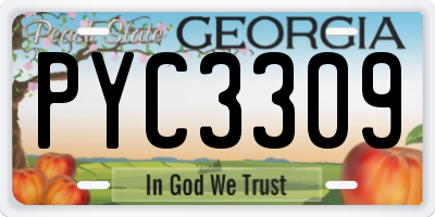 GA license plate PYC3309