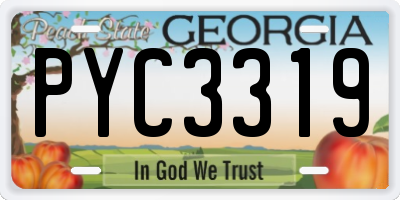 GA license plate PYC3319