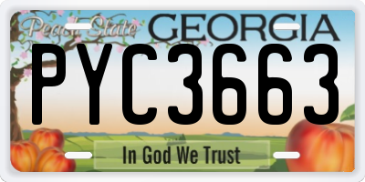GA license plate PYC3663