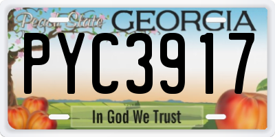 GA license plate PYC3917