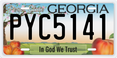 GA license plate PYC5141