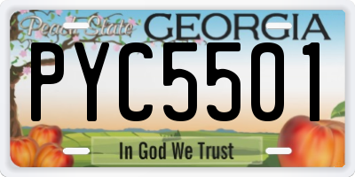 GA license plate PYC5501