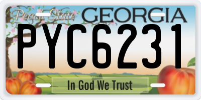 GA license plate PYC6231