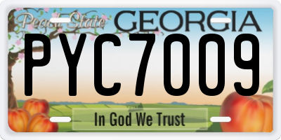 GA license plate PYC7009