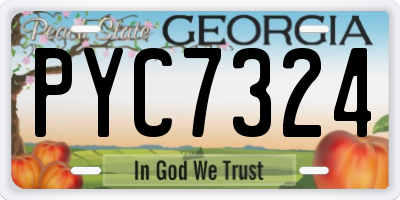 GA license plate PYC7324