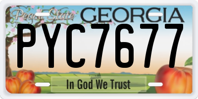 GA license plate PYC7677