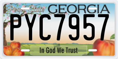 GA license plate PYC7957