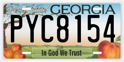 GA license plate PYC8154