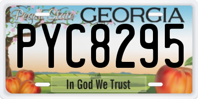 GA license plate PYC8295