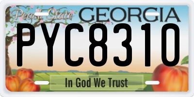 GA license plate PYC8310
