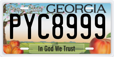 GA license plate PYC8999